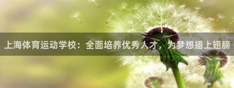 必一运动app