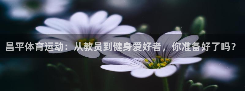 bsport必一运动