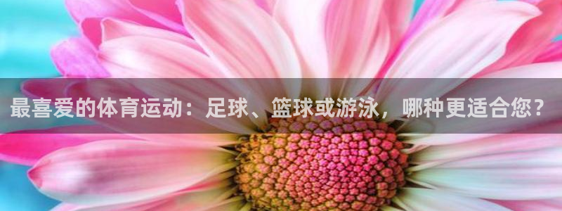 bsports必一运动