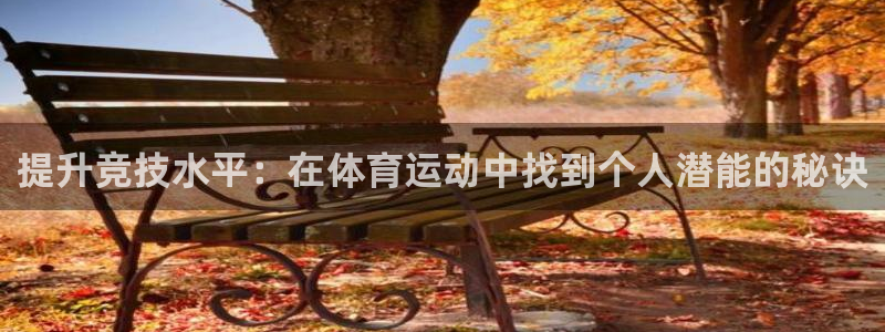 必一运动体育官网入口