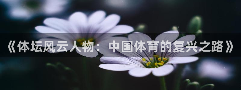 bsport必一运动