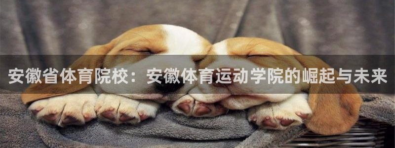 必一运动体育