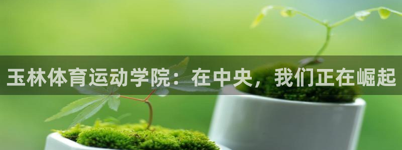 必一运动体育官网
