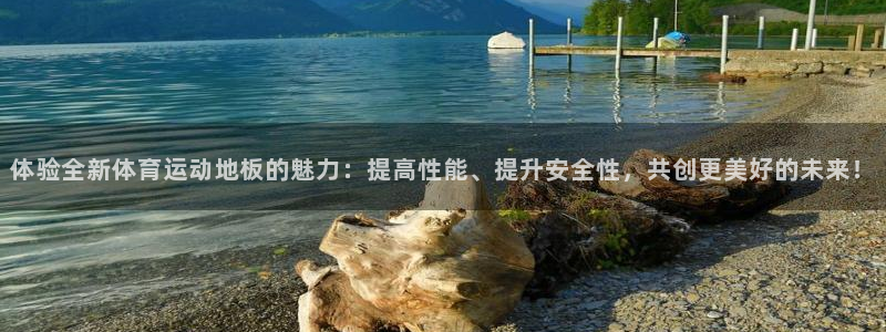 b体育必一运动官网